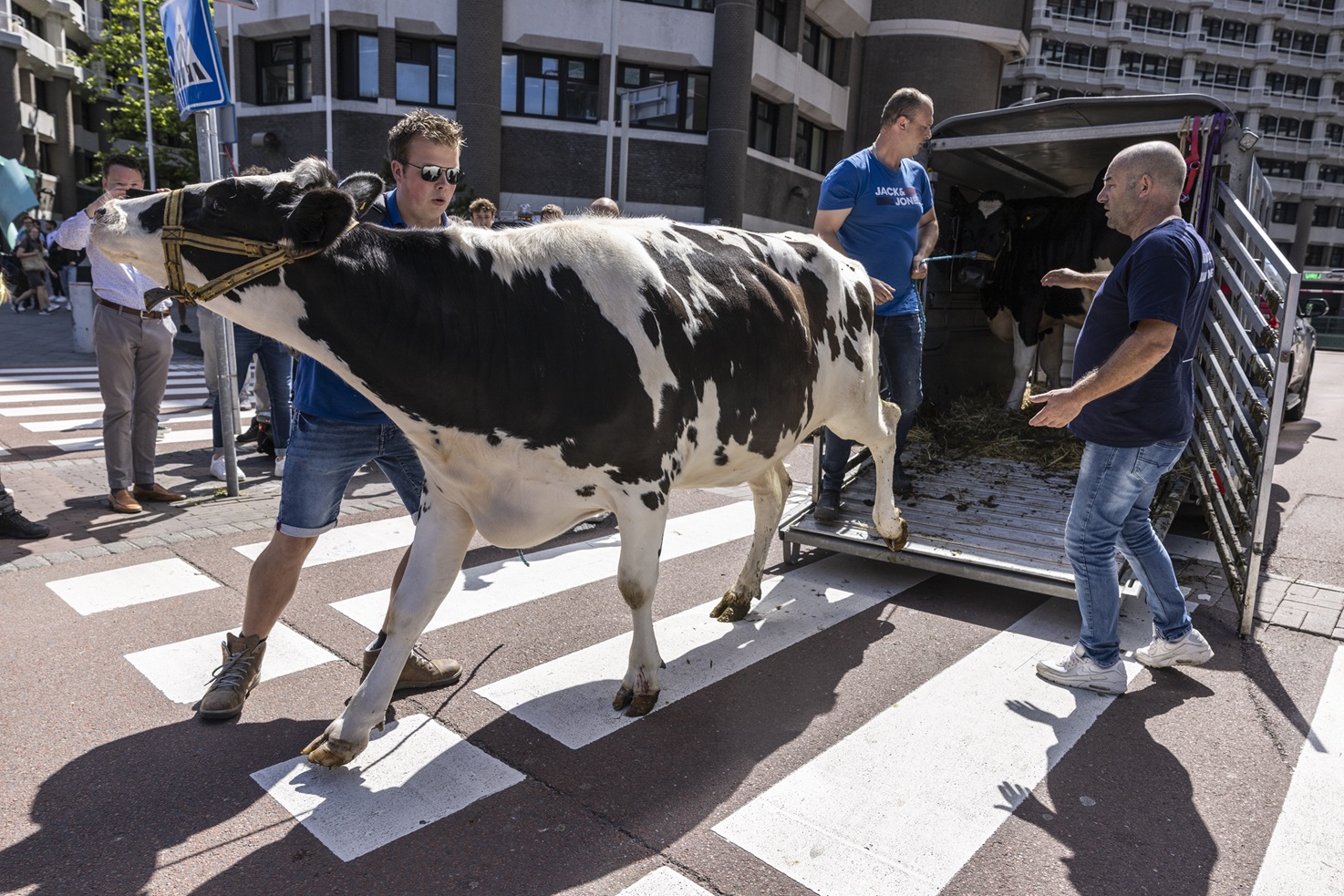 Boeren demonstreren. Den Haag, 28 juni 2022